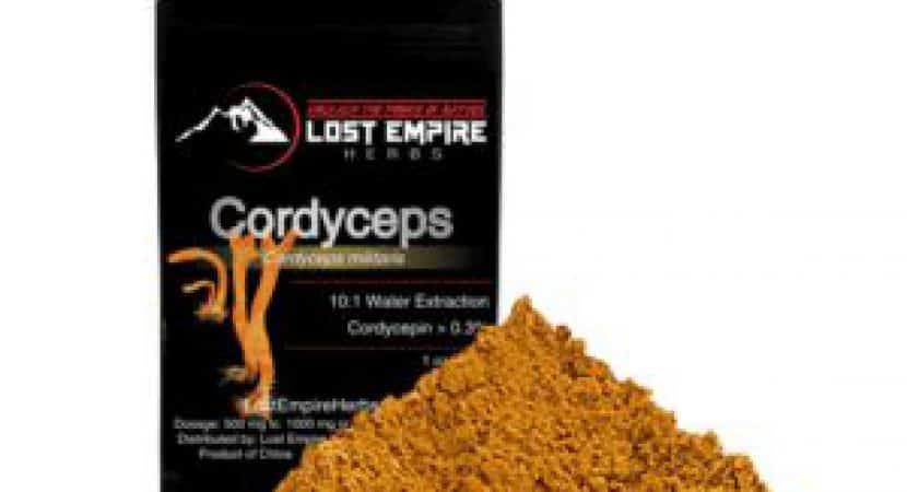 Best Cordyceps Supplement