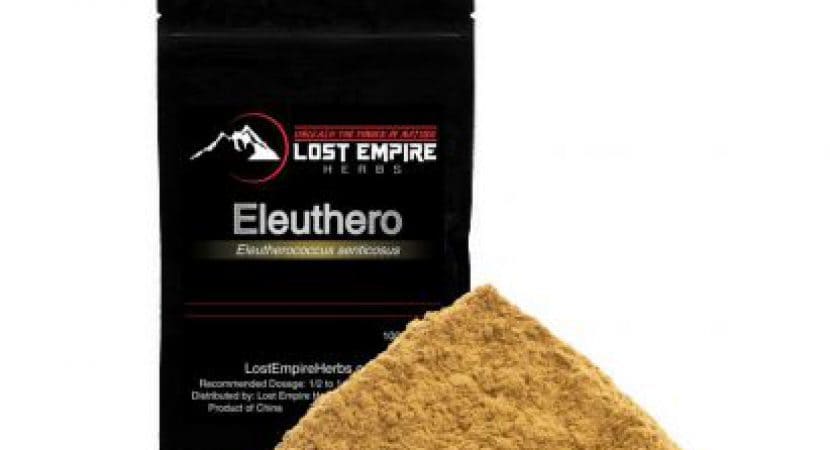 where to buy eleuthero