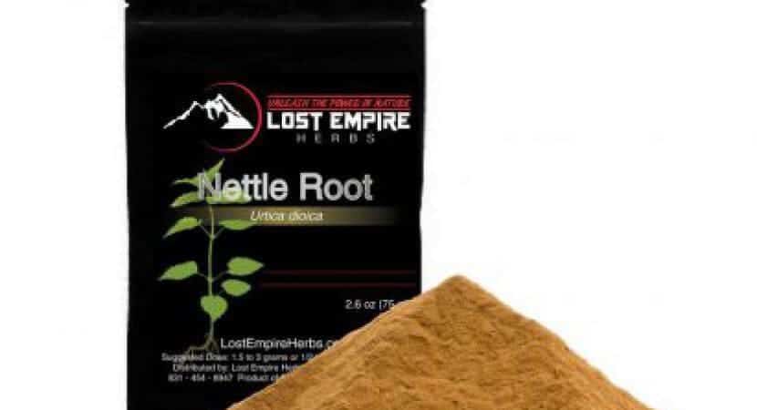 Best Nettle Root Extract