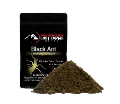 Polyrhachis Ant Extract