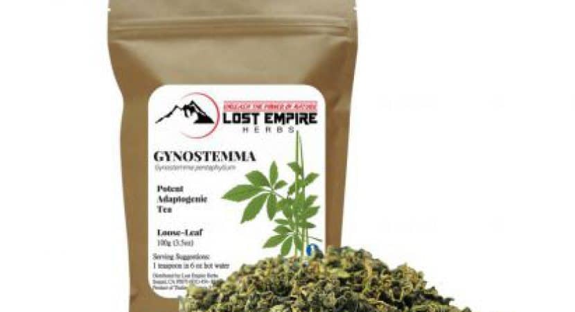 where to buy gynostemma tea