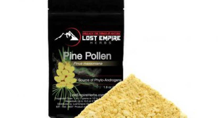 where to buy pine pollen