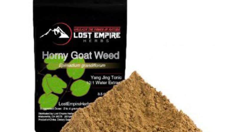 Horny Goat Weed For Impotence