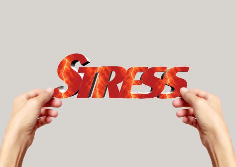 Herbal Remedies For Stress