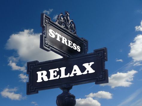 Herbal Remedies For Stress